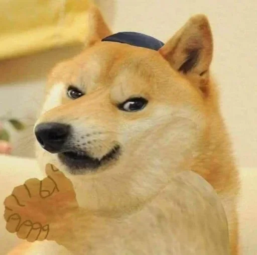 Telegram stiker ✡ CEO of hate