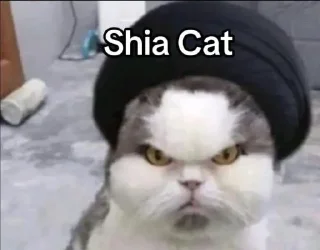 Video sticker 😡 عبدالله بالفراولة🎀