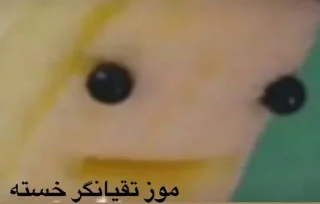 Video sticker 🍌 @myanymood موزی