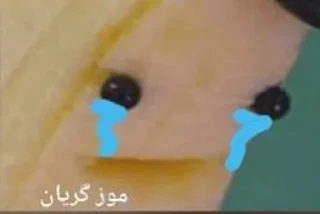 Telegram sticker 🍌 @myanymood موزی