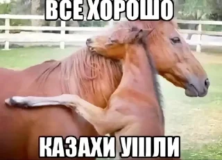 Telegram sticker 🌟 Пятницп :: @fStikBot