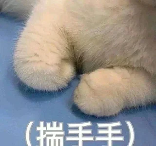 Sticker 🧡 深圳京东集团  @szygww