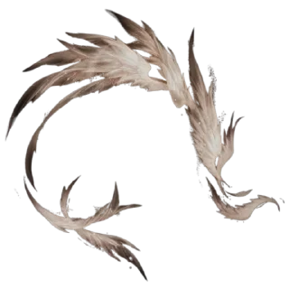 Video sticker 🪽 ᴄᴏʟᴜᴍʙɪɴᴀ. @Tavern_Moth