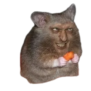 Телеграм стикер 😈 Всратыши