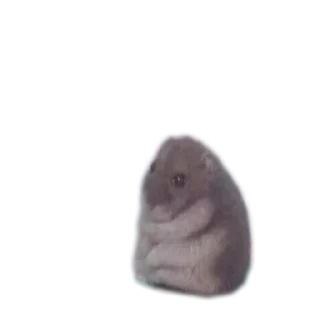 Video sticker 🥲 Всратыши