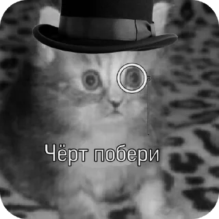 Телеграм стикер 🎩 Всратыши