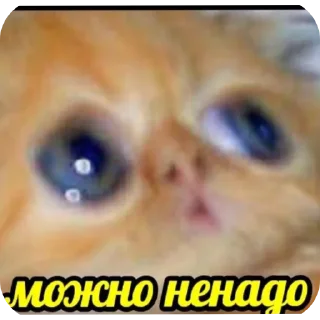 Video sticker 🥲 Всратыши
