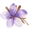 Sticker 🌸 @katerinamacvei Екатерина Мацвей "Школа невест"