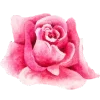 Video sticker 🌺 @katerinamacvei Е...