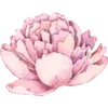Sticker 🌸 @katerinamacvei Екатерина Мацвей "Школа невест"