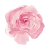 Video sticker 🌸 @katerinamacvei Е...