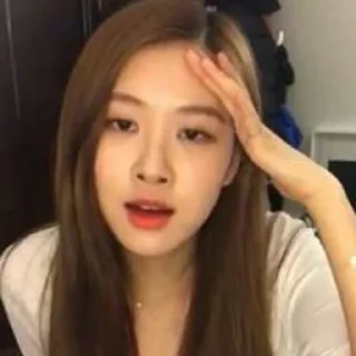 Video sticker 🤦‍♀️ — blackpink —