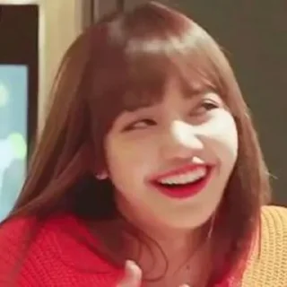 Telegram sticker 😆 — blackpink —
