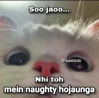 Telegram stiker 🤭 @HINDU_z  🙃 :: @fStikBot