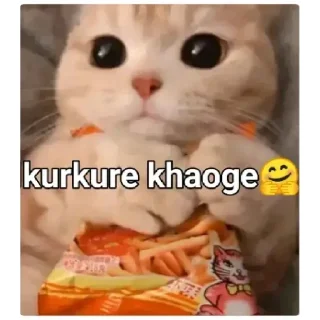 Video sticker 🤗 @HINDU_z  🙃 :: @fStikBot