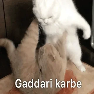 Telegram stiker 🌚 @HINDU_z  🙃 :: @fStikBot