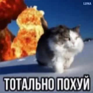 Video sticker 🙄 щышцпцсфй | пак нарпла