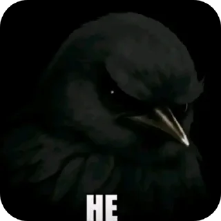 Telegram sticker 👍 Птицы @zatmenienochi