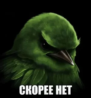 Video sticker 🤩 Птицы @zatmenienochi