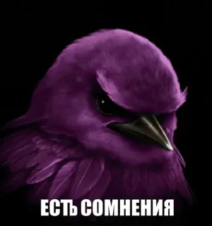 Sticker 🤩 Птицы @zatmenienochi