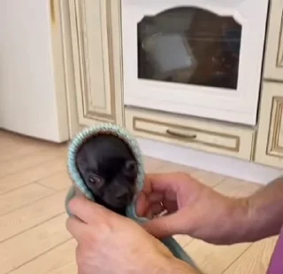 Video sticker ⛄️ Больше стиков тут: @stikery4