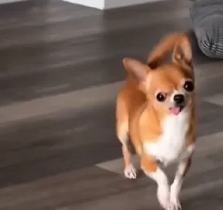 Video sticker 🤪 Больше стиков тут: @stikery4