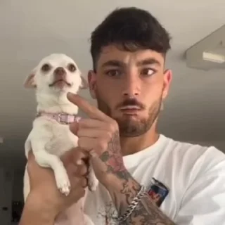 Video sticker 🤬 Больше стиков тут: @stikery4