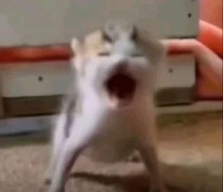 Telegram sticker 😫 Kola suelta : @Yoymiuteroenfuego