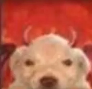 Video sticker 👿 Kola suelta : @Yoymiuteroenfuego