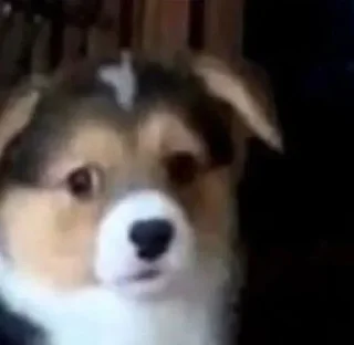 Telegram sticker 😞 Kola suelta : @Yoymiuteroenfuego