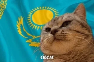 Telegram sticker 🌟 puwpuw