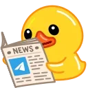 Video sticker 📰 Systemic Duck | @c...