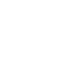 Sticker 2️⃣ Adaptive Premium icons