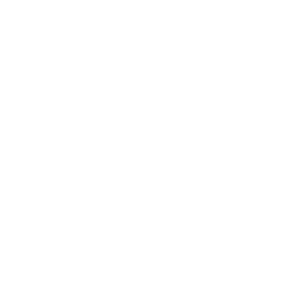 Sticker 🔑 Adaptive Premium icons
