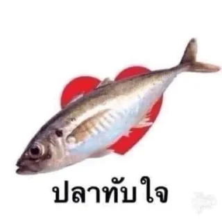 Telegram sticker 🐟 cucumber