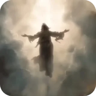 Video sticker 👍 Хуйня из тикток🪳💣😂