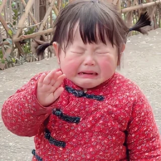 Video sticker 😭 咕噜鱼专属贴纸@guguyu886