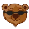 Video sticker 😎 BEARRR