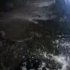 Video sticker 🌟 Dread_Nova :: @fSt...