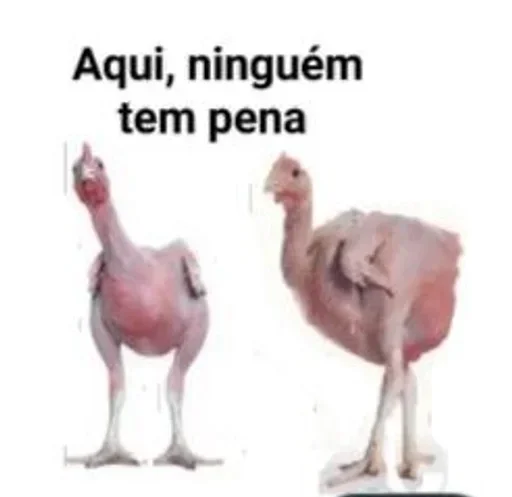 Telegram sticker 🌟 Lelezinha