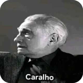 Video sticker 🖼 Renatim de 4