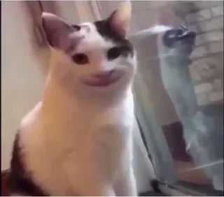 Telegram sticker 🙂 By @SmithDev