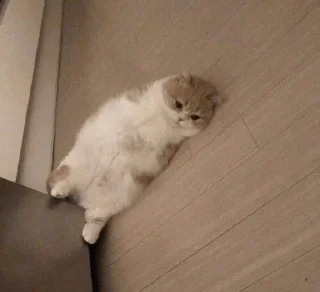 Telegram sticker 🤍 @Donyai_estikr1