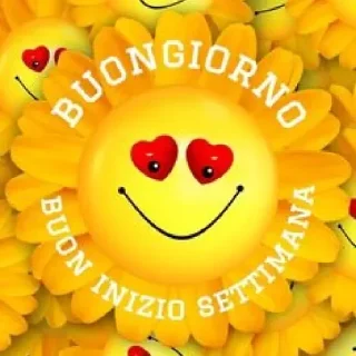 Video sticker 😁 buongiorno 🧐