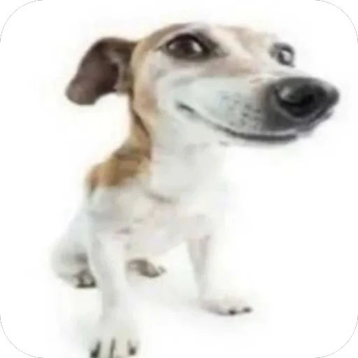 Telegram sticker 🫥 dudabxz
