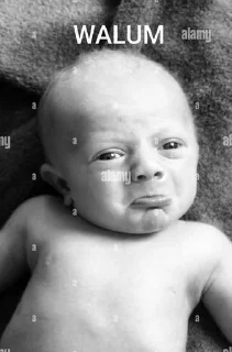 Video sticker ⭐️ My Stickers • @sticbot