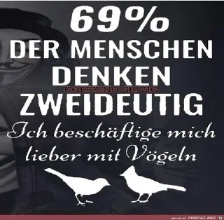 Video sticker ⭐️ My Stickers • @sticbot