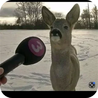 Telegram sticker 🙂 Hahasofunny