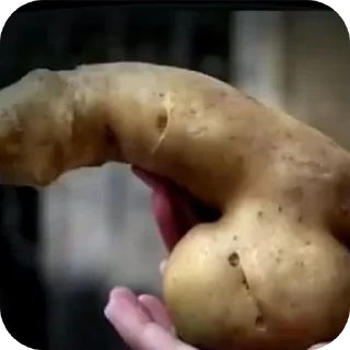 Telegram sticker 👍 Шкибиди Тимурка ирл @TgEmodziBot