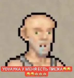 Video sticker 🤩 Шкибиди Тимурка ирл @TgEmodziBot